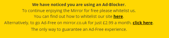 Paying to see their websites or undo ad blocker